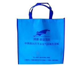 蔚藍園際手提袋定制